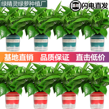 product_picUrl