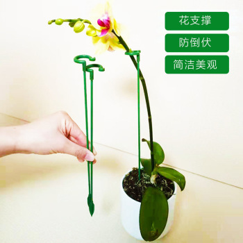 product_picUrl