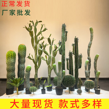 product_picUrl