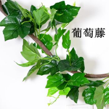 product_picUrl