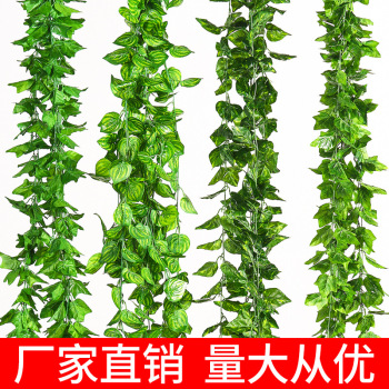 product_picUrl