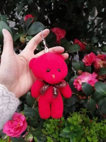 product_picUrl