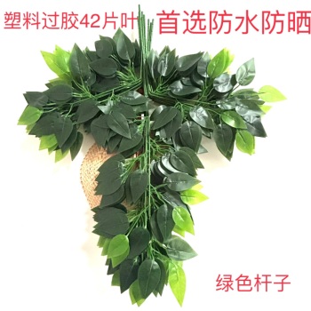 product_picUrl
