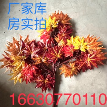product_picUrl