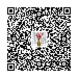 北美冬青