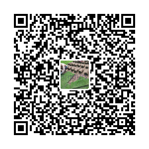 海南恒源草坪种植基地
