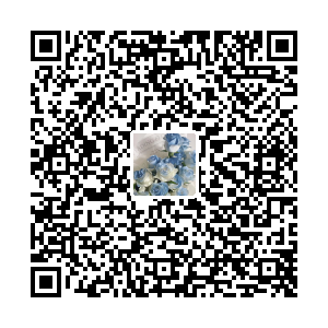 星落彼岸