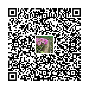 鼎靓园艺