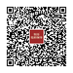 佰特弹簧定做